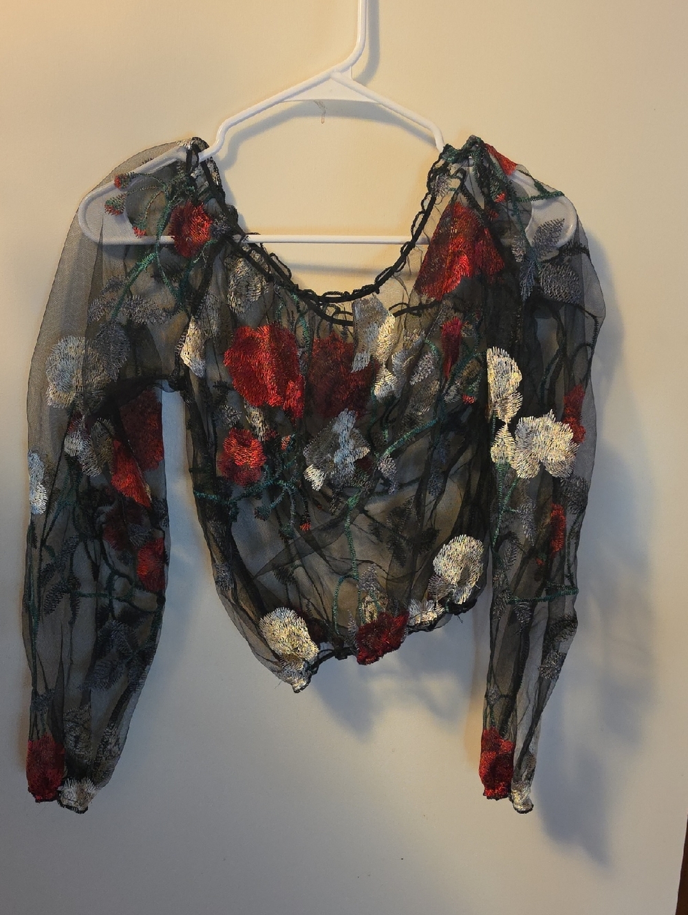 Sheer Black Embroidered Floral Long-Sleeve Blouse